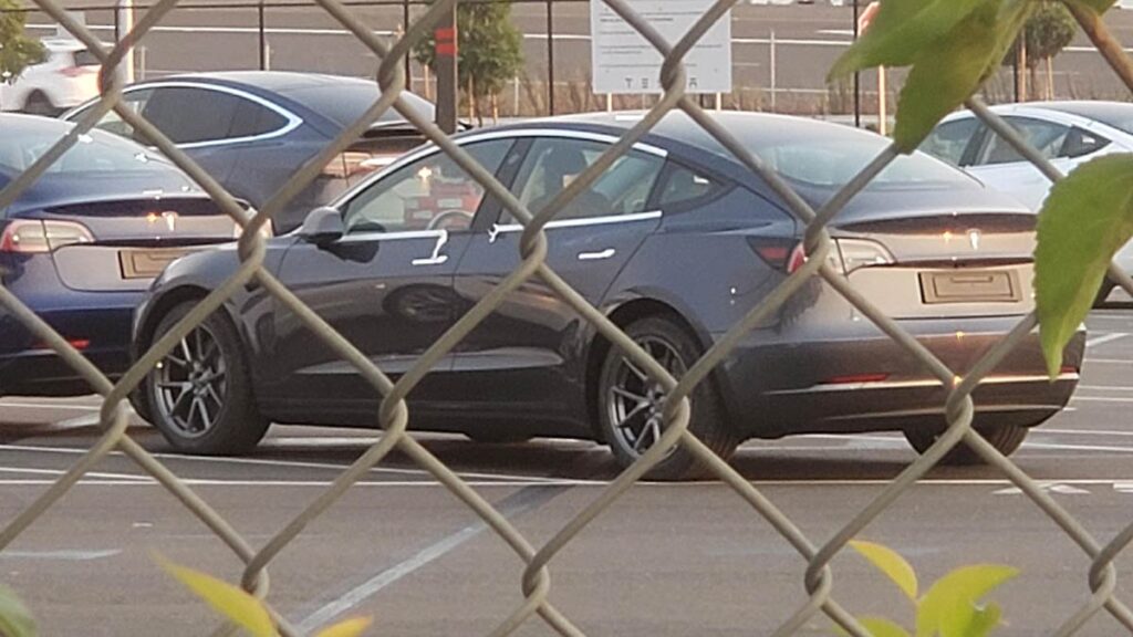 A refreshed 2021 Tesla Model 3 spotted at the Fremont factory.